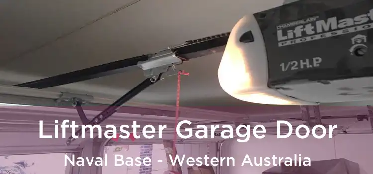 Liftmaster Garage Door Naval Base - Western Australia