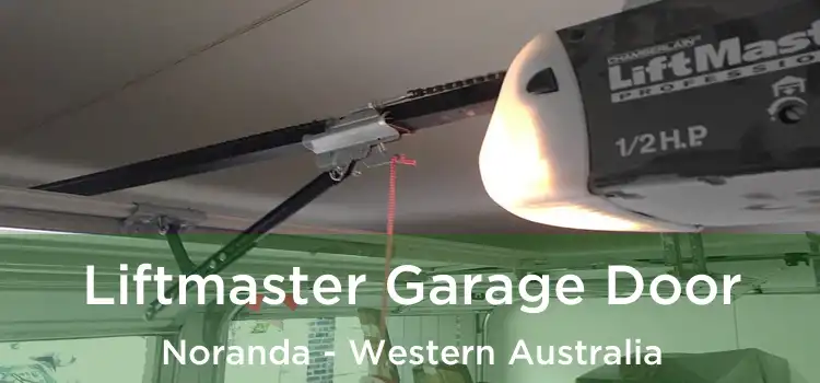 Liftmaster Garage Door Noranda - Western Australia