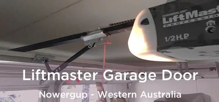 Liftmaster Garage Door Nowergup - Western Australia