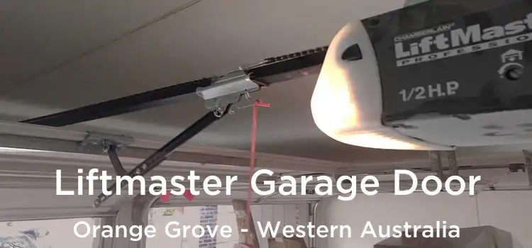 Liftmaster Garage Door Orange Grove - Western Australia