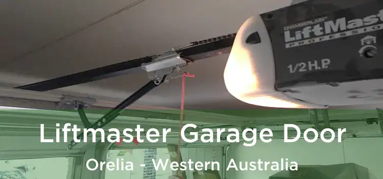 Liftmaster Garage Door Orelia - Western Australia