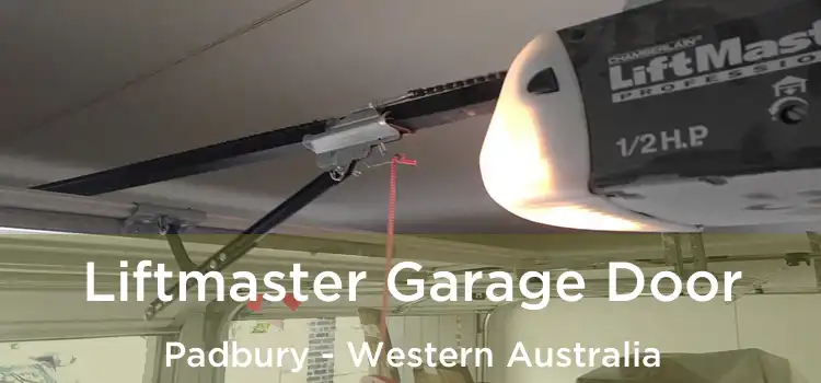 Liftmaster Garage Door Padbury - Western Australia