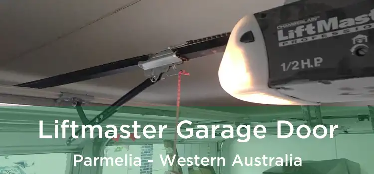 Liftmaster Garage Door Parmelia - Western Australia