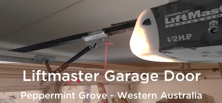Liftmaster Garage Door Peppermint Grove - Western Australia