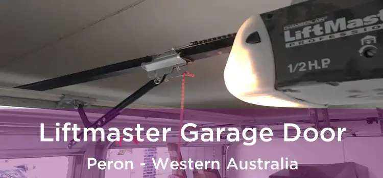 Liftmaster Garage Door Peron - Western Australia