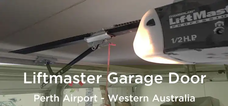 Liftmaster Garage Door Perth Airport - Western Australia