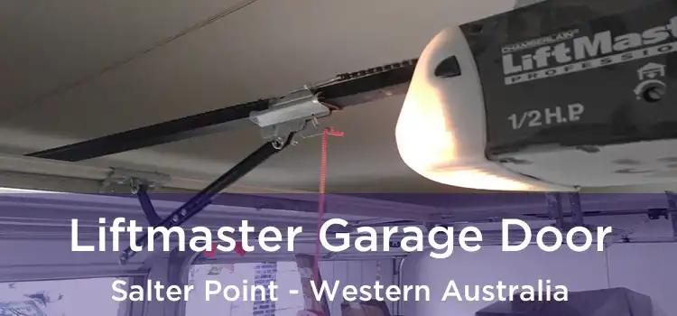 Liftmaster Garage Door Salter Point - Western Australia