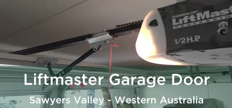 Liftmaster Garage Door Sawyers Valley - Western Australia