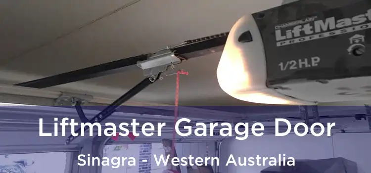 Liftmaster Garage Door Sinagra - Western Australia