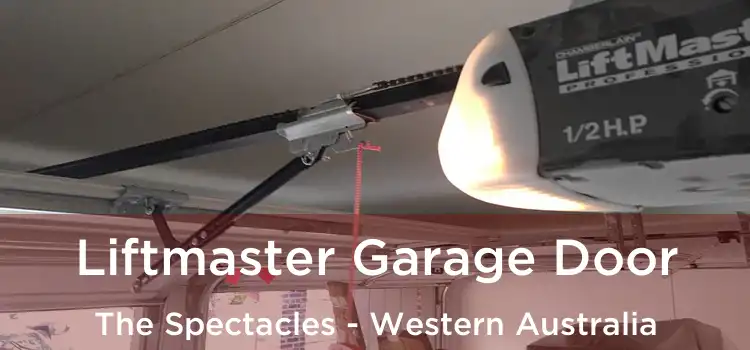 Liftmaster Garage Door The Spectacles - Western Australia