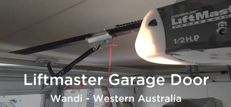 Liftmaster Garage Door Wandi - Western Australia