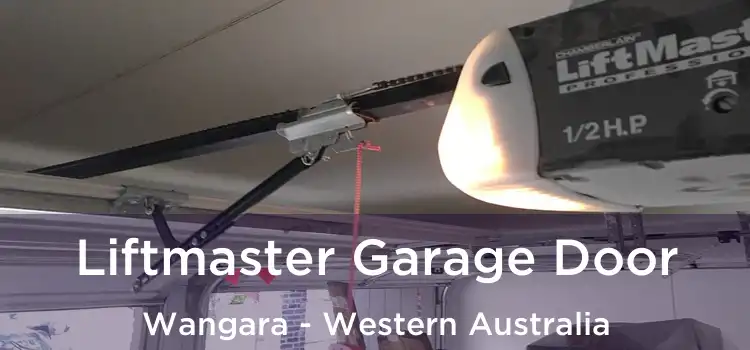 Liftmaster Garage Door Wangara - Western Australia