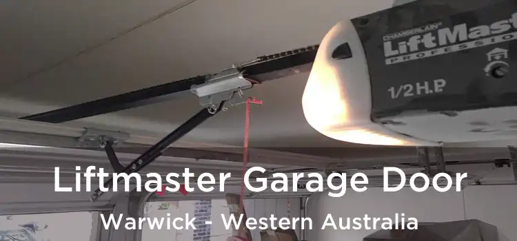 Liftmaster Garage Door Warwick - Western Australia