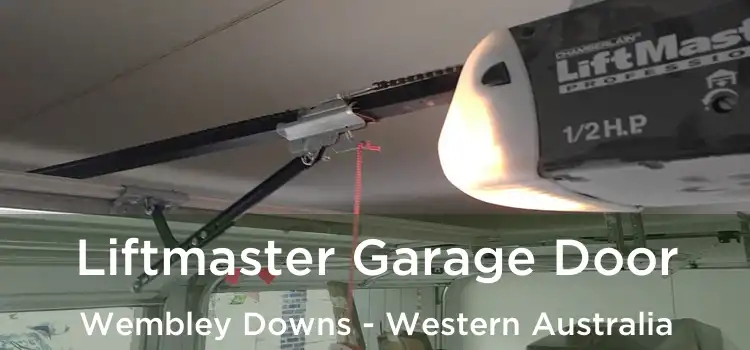 Liftmaster Garage Door Wembley Downs - Western Australia