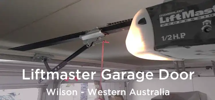 Liftmaster Garage Door Wilson - Western Australia
