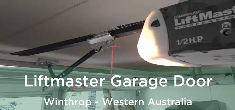 Liftmaster Garage Door Winthrop - Western Australia