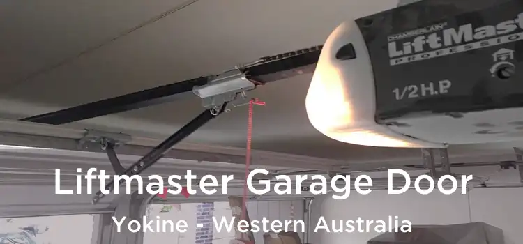 Liftmaster Garage Door Yokine - Western Australia
