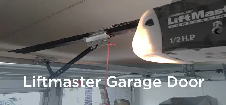 Liftmaster Garage Door 