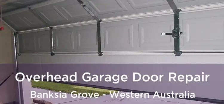 Overhead Garage Door Repair Banksia Grove - Western Australia