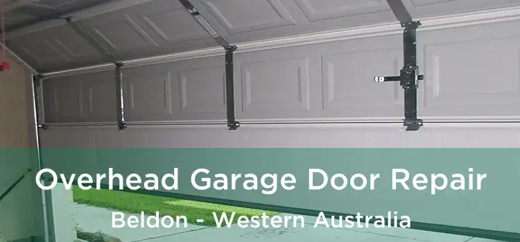 Overhead Garage Door Repair Beldon - Western Australia