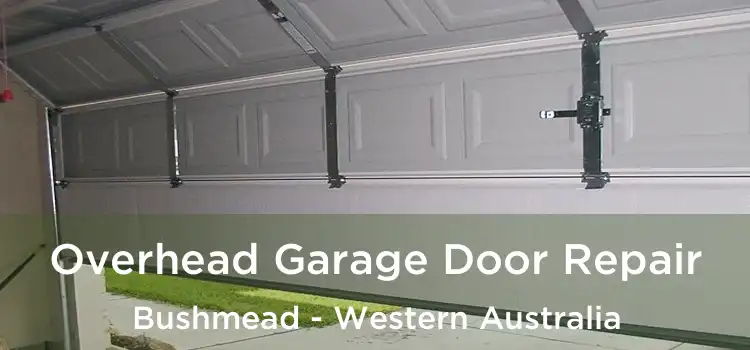 Overhead Garage Door Repair Bushmead - Western Australia