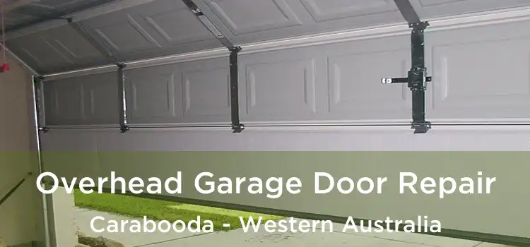 Overhead Garage Door Repair Carabooda - Western Australia