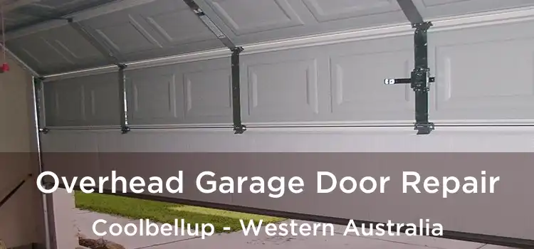 Overhead Garage Door Repair Coolbellup - Western Australia