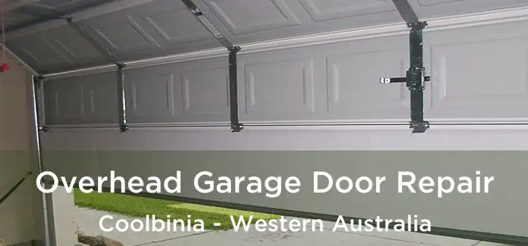 Overhead Garage Door Repair Coolbinia - Western Australia