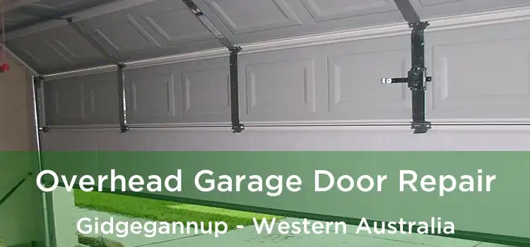 Overhead Garage Door Repair Gidgegannup - Western Australia
