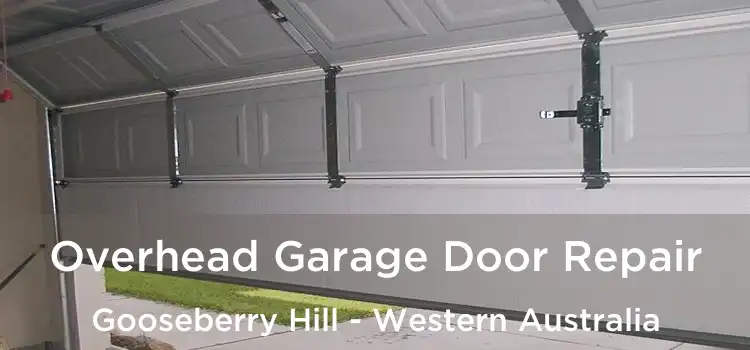 Overhead Garage Door Repair Gooseberry Hill - Western Australia