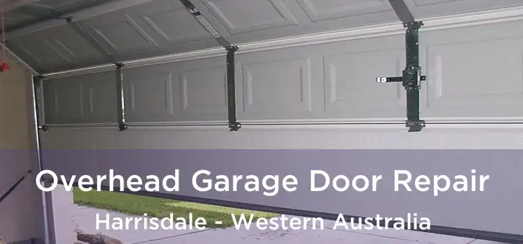 Overhead Garage Door Repair Harrisdale - Western Australia