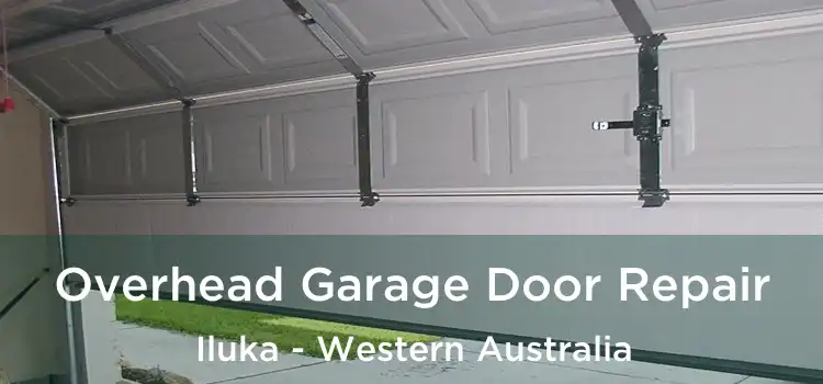 Overhead Garage Door Repair Iluka - Western Australia
