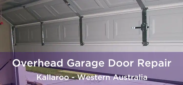 Overhead Garage Door Repair Kallaroo - Western Australia
