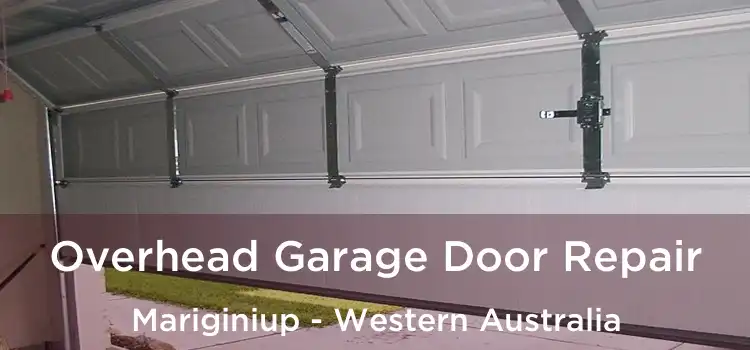 Overhead Garage Door Repair Mariginiup - Western Australia
