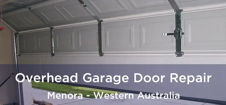 Overhead Garage Door Repair Menora - Western Australia