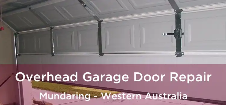 Overhead Garage Door Repair Mundaring - Western Australia