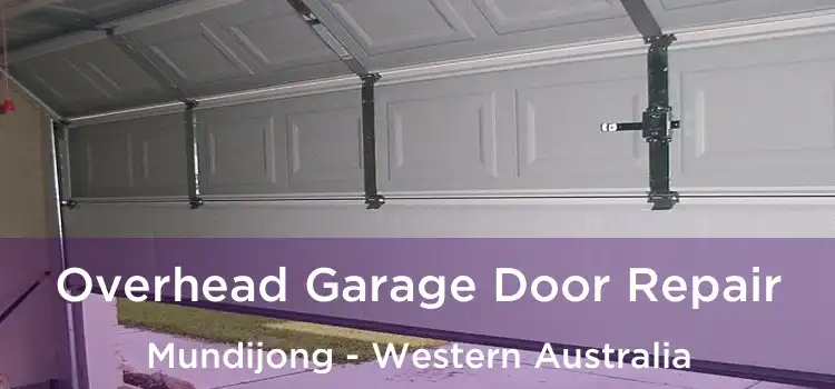 Overhead Garage Door Repair Mundijong - Western Australia