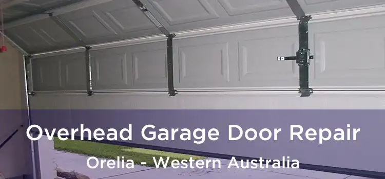 Overhead Garage Door Repair Orelia - Western Australia