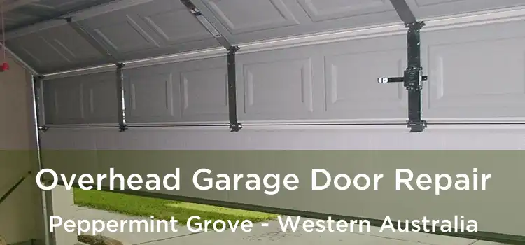 Overhead Garage Door Repair Peppermint Grove - Western Australia