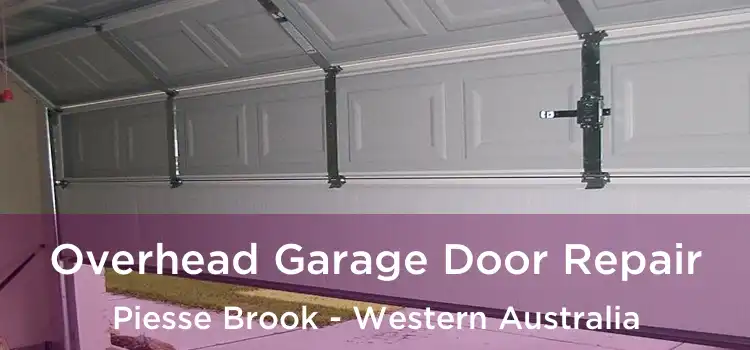 Overhead Garage Door Repair Piesse Brook - Western Australia