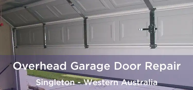 Overhead Garage Door Repair Singleton - Western Australia