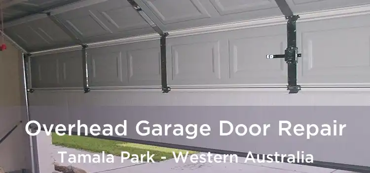 Overhead Garage Door Repair Tamala Park - Western Australia