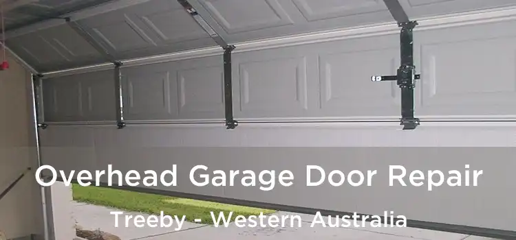 Overhead Garage Door Repair Treeby - Western Australia