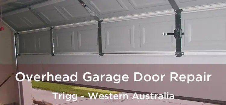 Overhead Garage Door Repair Trigg - Western Australia