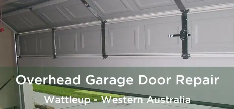 Overhead Garage Door Repair Wattleup - Western Australia