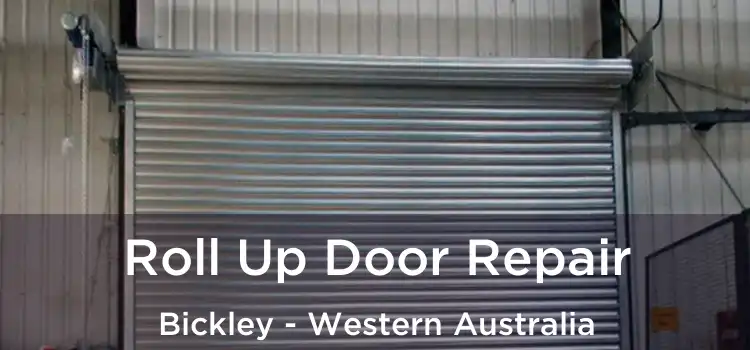Roll Up Door Repair Bickley - Western Australia