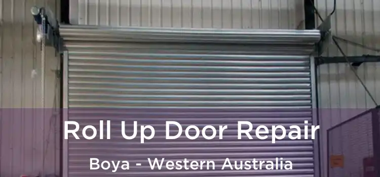 Roll Up Door Repair Boya - Western Australia