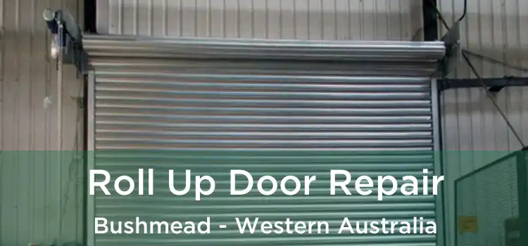 Roll Up Door Repair Bushmead - Western Australia