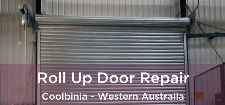 Roll Up Door Repair Coolbinia - Western Australia