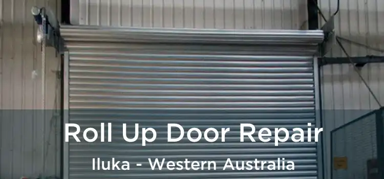 Roll Up Door Repair Iluka - Western Australia